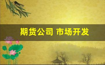 期货公司 市场开发(期货公司市场开发岗位职责)_https://www.xzdzchf.com_科创板_第1张